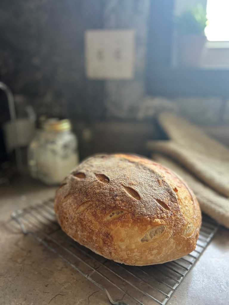 Sourdough bread on a counter